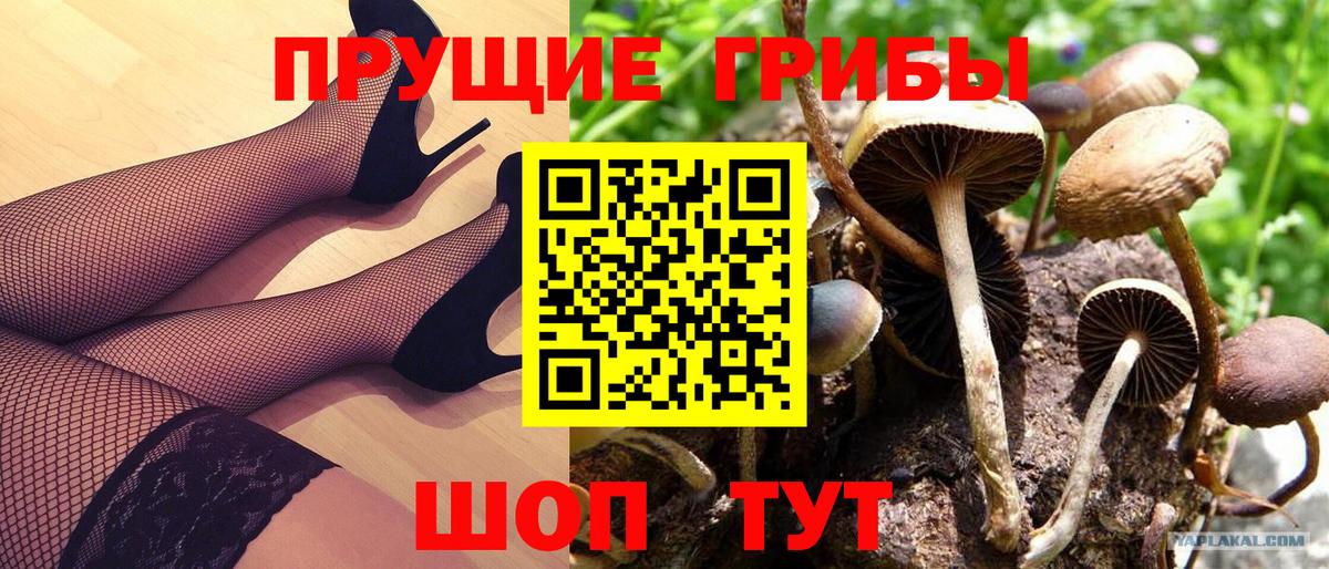 Галлюциногенные грибы MAGIC MUSHROOMS Шумерля